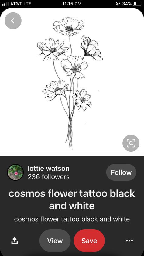 Cosmo Flower Tattoo Designs, Cosmo Flowers Tattoo, Two Cosmos Flowers Tattoo, Black Line Flower Tattoo, Minimalist Cosmos Flower Tattoo, Cosmo Tattoo Flower, Cosmo Tattoo, Cosmo Flower Tattoo Black And White, Cosmo Flower Tattoo