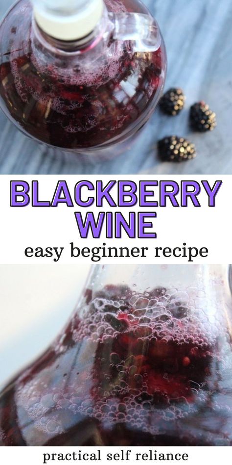 Raspberry Wine Recipe Homemade, Mulberry Wine Recipe, Blackberry Wine Recipe, Fruit Wine Recipes, Homemade Spirits, Wine Recipes Drink, Wine Making Recipes, Homemade Wine Recipes, Mead Wine