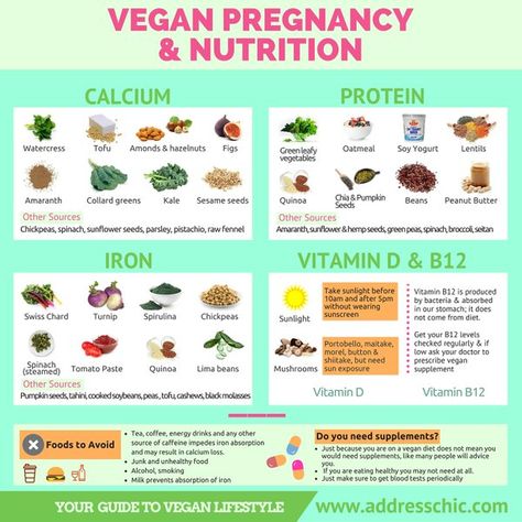 Vegan Pregnancy Meal Plan, Pregnant Food, Vegetarian Pregnancy, Vegan Motivation, Vegan Calcium, Pregnancy Meals, Pregnant Life, Pregnancy Eating, Natural Mama