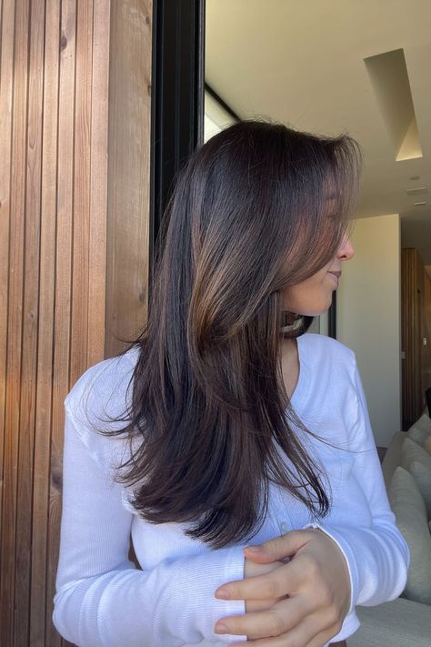 I Tried the Translucent Brown Hair-Color Trend: See Photos Brown Hair Trends, Dramatic Hair, Latest Hair Color, How To Lighten Hair, Popsugar Beauty, Happy Hair, Mid Length Hair, Dye My Hair, Hair Colorist