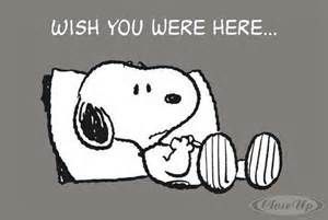 Peanuts Quotes, Dad Pictures, Snoopy Comics, Snoopy Cartoon, Snoopy Funny, Snoopy Images, Peanuts Cartoon, Snoopy Wallpaper, Snoopy Quotes