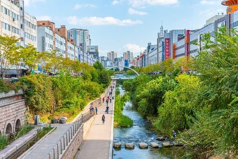 Cheonggyecheon Stream, Urban Habitat, University Of Sheffield, Floating Garden, Urban Forest, Green Oasis, Public Architecture, South Korea Travel, Landscape And Urbanism