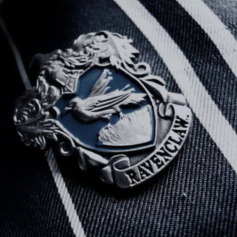 Luna Lovegood Harry Potter, Louis Weasley, Ravenclaw Pride, Cho Chang, Ravenclaw Aesthetic, Neville Longbottom, Harry Potter Houses, Hogwarts Aesthetic, Harry Potter Aesthetic