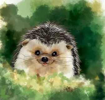 what a beautiful smile - Cute hedgehog art A Hedgehog, Hedgehog Art, Cute Hedgehog, Beautiful Smile, Clothes, Art