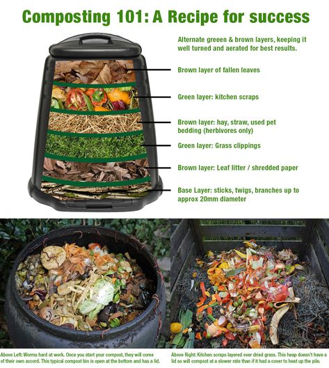 COMPOSTING AT HOME, HERE'S HOW | Dominator New Zealand Home, Composting 101, Compost Pile, New Garage, Composting At Home, Recipe For Success, Shredded Paper, Composting, Green Kitchen