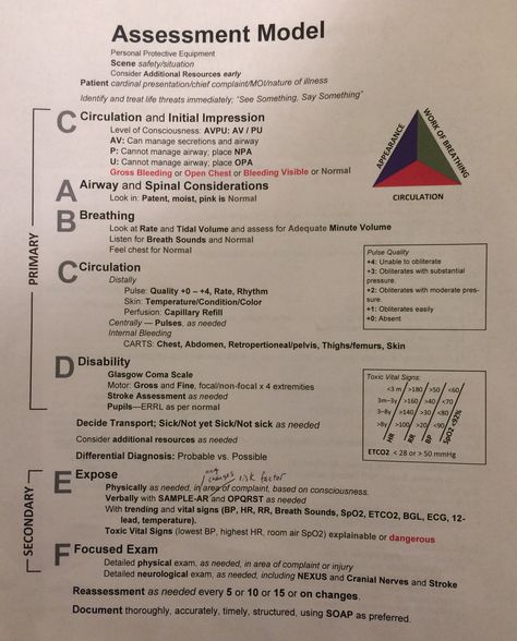 Patient Assessment Model Emt Basic Notes, Nursing Foundation Notes, Patient Assessment Emt, Nclex Mnemonics, Kaplan Nursing, Emt Basic, Nursing Documentation, Patient Assessment, Emt Study