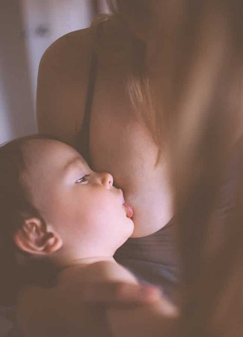 Well Nourished ⎮ Nourishing Breastfeeding Mums Instagram Private Account, Mother Feeding Baby, Mother Baby Photography, Mother Feeding, Yoga Kurse, Toddler Photos, Feeding Toddlers, Breastfed Baby, Cute Couple Poses