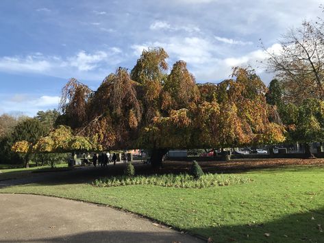 Alice In Sheffield: 4 Locations for a Socially Distanced Date in Sheff... Sheffield Botanical Gardens, Glass Pavilion, Small Lake, New Roads, Steel Sculpture, Picnic In The Park, Beautiful Lakes, Relax Time, Water Fountain