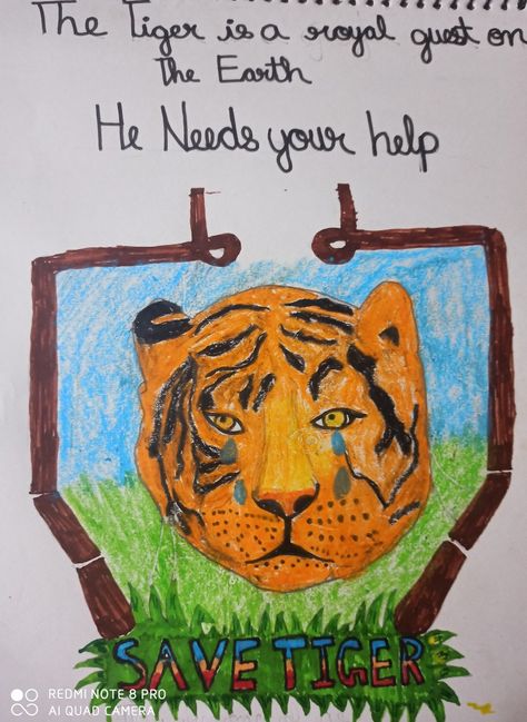 This is a drawing about a tiger who is crying and needs your help Don't hunt tigers 🐅🐅🐯🐯 Save Tiger Drawing, A4 Size Paper Drawing, Save Tiger Poster Ideas, Poster Ideas Drawing, Images For Drawing, Save The Tiger, Tiger Images, Tiger Poster, Tiger Drawing