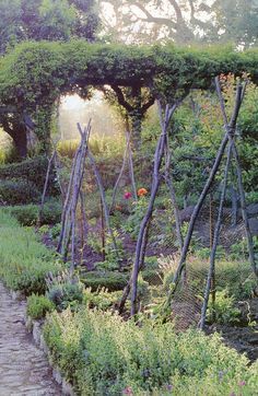 Love the border arou Kitchen Gardens, Potager Garden, Garden Vines, Garden Plans, Veg Garden, Have Inspiration, Vegetable Garden Design, Garden Trellis, Garden Structures