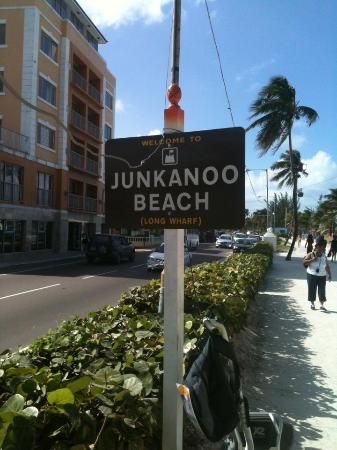 Junkanoo Beach: 10min free beach from cruise port nassau.. good place for food and drinks, Tiki Bikini Hut Junkanoo Bahamas, One Day In Nassau Bahamas, Tiger Beach Bahamas, Junkanoo Beach Nassau Bahamas, Freeport Bahamas, Straw Market Nassau Bahamas, Carribean Cruise, Bahama Mama, Bahamas Travel