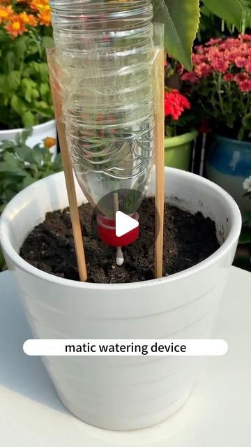 soilphu on Instagram: "Tip #soilphu #soilteater #soil #soilhealth #soils #plants #plant #plating #plantlife #plantlover #plants #garden #gardening #gardenlove #gardenlife #tips #tip #flowers #flower" Plant Self Watering Diy, Cottage Planters, Watering Plants While On Vacation, Self Watering Bottle, Outdoor Design Ideas, Watering Flowers, Plant Tips, Watering Plants, Gardening Projects