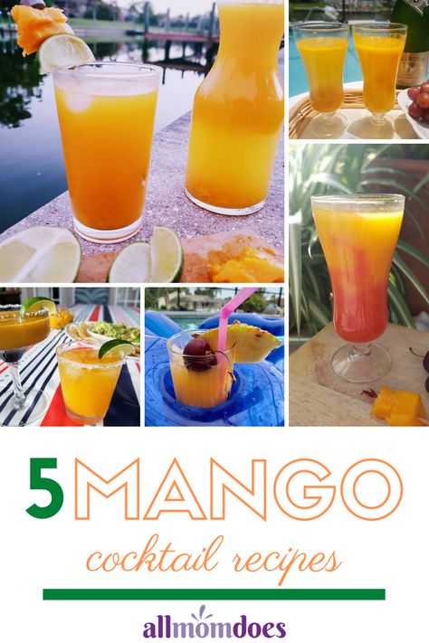 Five Refreshing Mango Drinks for Adults and Kids to Enjoy this Summer | AllMomDoes Mango Frozen Drinks, Cocktails With Mango Juice, Mango Puree Recipe For Drinks, Mango Juice Cocktail Recipes, Mango Tango Drink Cocktails, Mango Puree Cocktails, Mango Tango Drink Recipes, Mango Drinks Nonalcoholic, Mango Nectar Cocktail