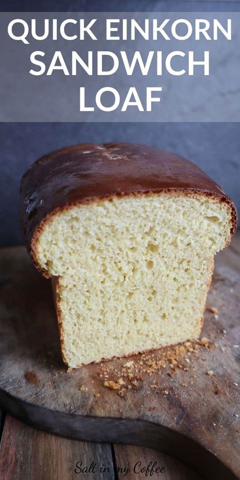 Einkorn Sandwich Bread, Bread Recipe Healthy, Einkorn Bread, Einkorn Recipes, Sandwich Bread Recipe, Sandwich Loaf, Einkorn Flour, Wheat Recipes, Sandwich Bread Recipes