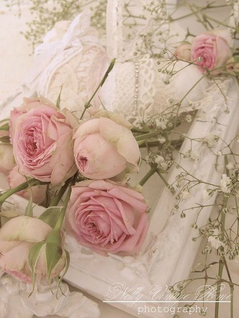 shabby poésie - jeux, tu encadres déco shabby Shabby Chic Decorating, Decoration Shabby, Estilo Shabby Chic, Deco Rose, Cottage Shabby Chic, Coming Up Roses, Style Shabby Chic, Colorful Roses, Shabby Chic Kitchen