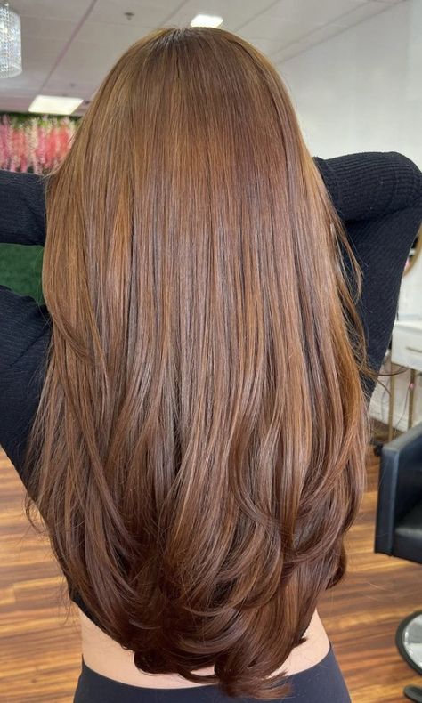 Orange Ish Brown Hair, Ginger Tinted Hair, Light Brown Cinnamon Hair Color, Copper Ashy Hair, Sugar Brown Hair, Amber Brown Hair With Highlights, Orangey Brown Hair, Balayage Cafe, Brown Hair With Ginger Highlights