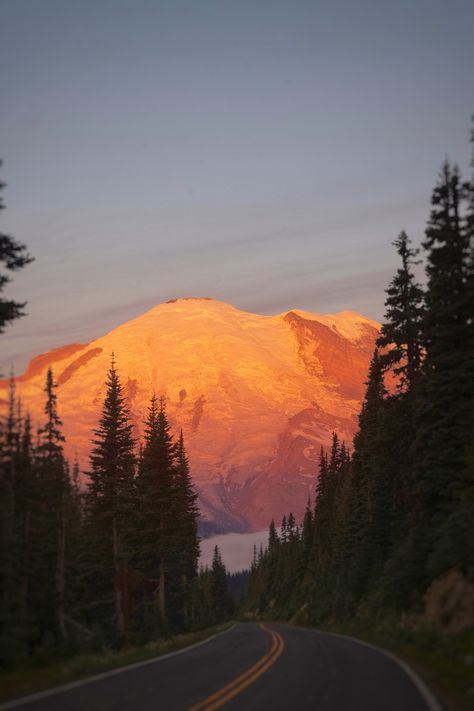 mount rainier national park | sunrise | pnw | mountain sunrise Mount Rainier Aesthetic, Mt Rainier Aesthetic, My Rainier National Park, My Rainier, National Park Aesthetic, Morning Mountain, Mountains Sunrise, Mt Rainier National Park, Mountain Sunrise