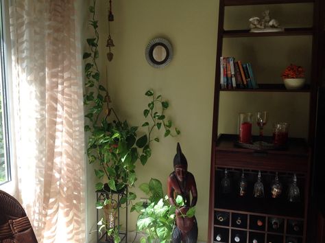 Green corner. Money Plant Decor Indian, Money Plants, Green Corner, Plants Decor, Indian Homes, Residential House, My Money, House Plants Indoor, Indian Home