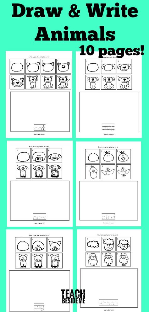 How to Draw Animals- Draw & Write Animals Pre K Drawing Ideas, Guided Drawing For Kindergarten, Directive Drawing For Kindergarten, Draw Write Now, How To Draw Printables, How To Draw Kindergarten, Free Directed Drawing For Kids, Direct Drawing For Kids, How To Draw Worksheets