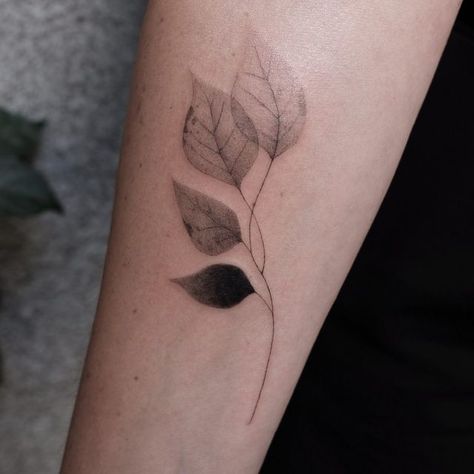 Black And White Cover Up Tattoo Ideas, Botanical Tattoo Cover Up, Minimal Leaf Tattoo, Leaf Plant Tattoo, Leaf Cover Up Tattoo, Basic Flower Tattoo, Bodhi Leaf Tattoo, Tattoo Ideas Leaf, Tattoo Ideas Plants