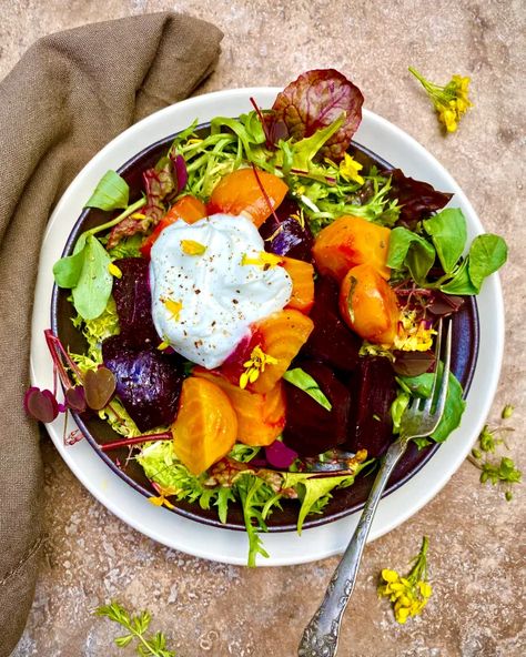 Roasted Beet and Ricotta Salad – TasteFood Whipped Ricotta Recipe, Ricotta Salad, Blackberry Salad, Whipped Ricotta, Roasted Beet Salad, Spreadable Cheese, Fresh Dishes, Filled Pasta, Poppy Seed Dressing