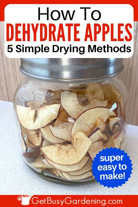 a glass jar filled with dried apple slices Drying Apples In Air Fryer, How To Dry Apples In The Oven, Dehydrated Apples In Oven, How To Dehydrate Apples, Dried Apples In The Oven, How To Dry Apples, Apples In The Oven, Dry Apples, Dehydrate Apples