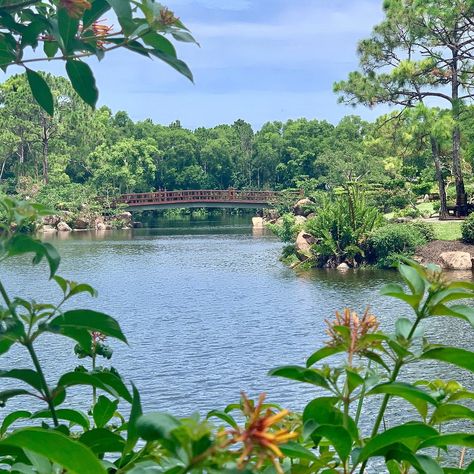 Morikami Museum & Japanese Gardens - All You Need to Know BEFORE You Go (2024) Morikami Museum Japanese Gardens, Kelly Park, Delray Beach Florida, Rock Springs, Places In Florida, Fort Myers Beach, Japanese Gardens, Lake Park, Road Trip Essentials