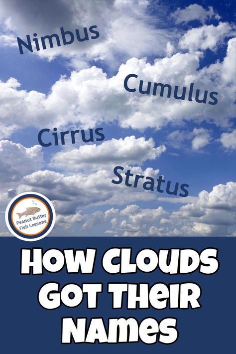 Pinnable cover image for blog post How Clouds Got Their Names Clouds Lesson Plan, Clouds Lesson, Backyard Science, Clouds For Kids, Kinds Of Clouds, Butter Fish, Cloud Activities, Science Unit Studies, Cloud Type