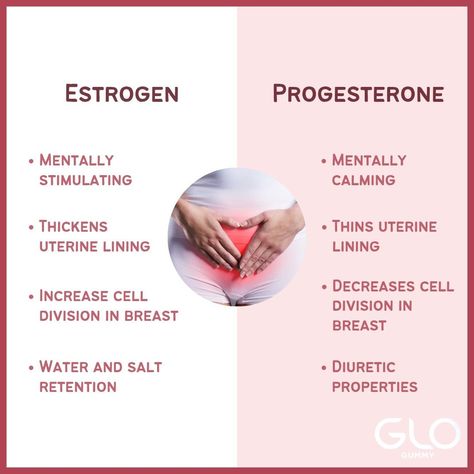 High Estrogen, Avocado On Toast, Lung Cleanse, Estrogen Hormone, The Menstrual Cycle, Low Estrogen Symptoms, Too Much Estrogen, Back Fat Workout, Love Wellness