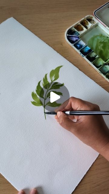 Sushma Hegde on Instagram: "Some leafy practice 🌿.
.
.
#watercolorleaves #watercolor #botanicalillustration #floralartist" 2024 Watercolor, Watercolor Practice, Watercolor Leaves, Watercolour Tutorials, July 15, Botanical Illustration, Watercolor Painting, Watercolor Paintings, Floral