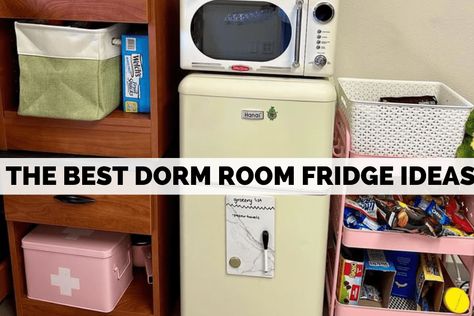 The Best Dorm Room Fridge Ideas You Need To See - Ryality Room Fridge Ideas, Dorm Fridge Organization, Dorm Room Fridge, Fridge Organization Ideas, Room Fridge, Pink Mini Fridge, Fridge Ideas, Dorm Room Themes, Dorm Packing