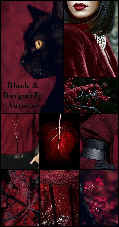 Dark Witch Color Palette, Color Palette Black Red, Witch Aesthetic Colour Palette, Red Black Wallpaper Aesthetic, Black And Red Color Palette, Burgundy Color Palette, Burgundy Aesthetic, Red Aesthetics, Color Design Inspiration