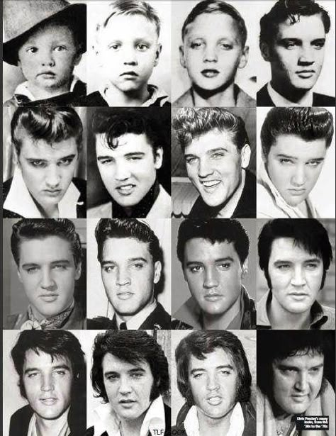 Charlie Brown Jr, I Love Elvis, Young Elvis, King Of Rock And Roll, Cat Stevens, Elvis And Priscilla, Burning Love, Elvis Presley Pictures, Elvis Presley Photos