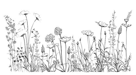 Line Drawing Of Flowers, Wildflower Drawing, Garden Tattoos, Prairie Flower, Wildflower Tattoo, Flower Line Drawings, Landscape Tattoo, Flower Outline, Flower Art Drawing