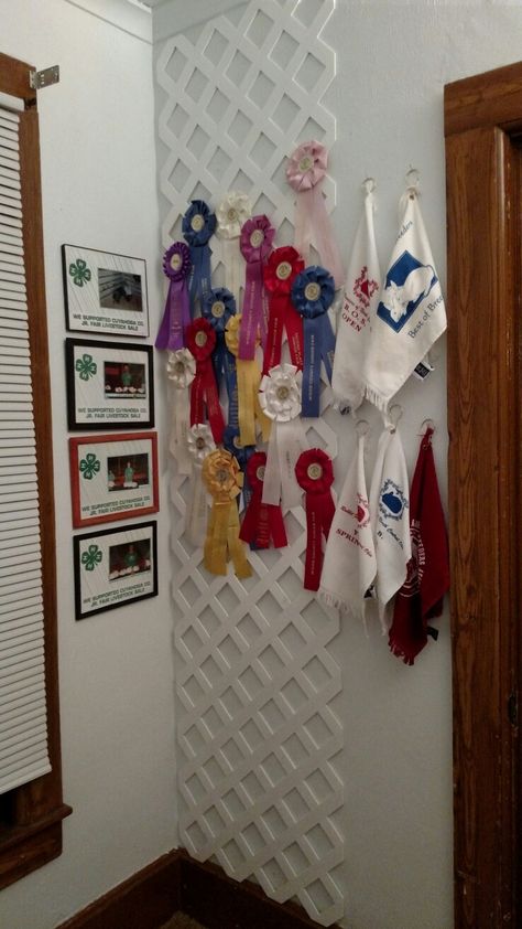 Horse Show Ribbon Storage, 4h Ribbon Display, Equestrian Ribbon Wall, Equestrian Aesthetic Bedroom, Horse Rosette Display, 4-h Ribbon Display Ideas, Equestrian Ribbon Display Ideas, Rosette Display Ideas, Horse Ribbon Display Ideas