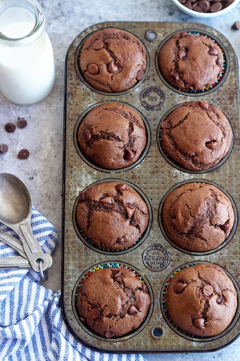 Chocolate Muffins Sourdough, Double Chocolate Chip Sourdough Muffins, Chocolate Sourdough Discard Muffins, Chocolate Sourdough Muffins, Sourdough Discard Muffins Chocolate Chip, Chocolate Chip Sourdough Muffins, Sourdough Chocolate Muffins, Sourdough Discard Chocolate Chip Muffins, Sourdough Chocolate Chip Muffins