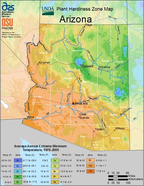 Farmers Know Best: Arizona USDA Plant Hardiness Zones Map - Growing Zones Plant List Hardiness Zones Map, Small Landscape Trees, Planting Zones Map, Map Of Arizona, Vegetable Planting Calendar, Arizona Plants, Planting Zones, Plant Hardiness Zone Map, Grand Canyon West