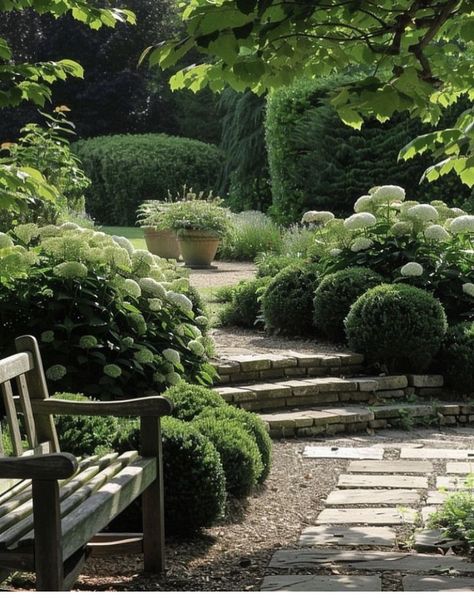 Boxwood Garden, Garden Layout Ideas, Small Courtyard Gardens, Back Garden Design, Cottage Garden Design, Have Inspiration, Garden Landscape Design, Garden Layout, Ideas Garden