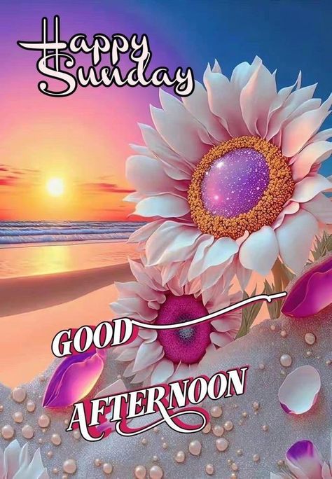 Happy Sunday Afternoon, Afternoon Messages, Afternoon Wishes, Happy Weekend Images, Happy Sunday Images, Happy Sunday Morning, Sunday Photos, Good Afternoon Quotes, Sunday Images