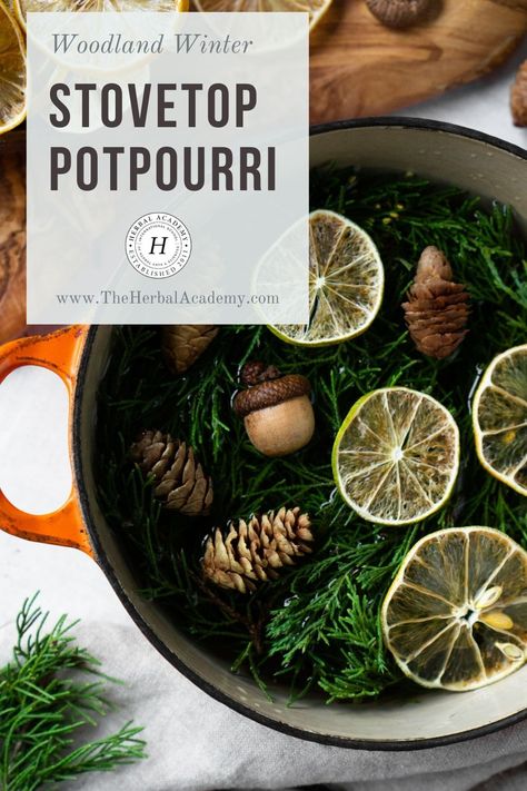 Potpourri Recipe, Simmer Pots, Homemade Potpourri, Vintage Pantry, Simmer Pot Recipes, Stove Top Potpourri, Herbal Academy, Simmering Potpourri, Potpourri Recipes