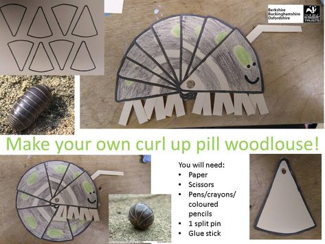 Real pill woodlice curl up tight in a ball when they're scared - and your's can too! Draw and cut out a triangle, draw round it and cut 7 more identical. Colour in. Carefully join all your triangles at the point a with split pin - you might want an adult to help. Add a face and cut antennae and legs from scrap paper to glue on. Ta-da! Can you find a live woodlouse in your garden? Try looking carefully under stones or flowerpots, sometimes woodlice even walk about the floor in your house! Roly Poly Craft, Woodlice, Pill Bug, Free Time Activities, Stem Crafts, Bug Crafts, Nature School, Learn Crafts, Afterschool Activities