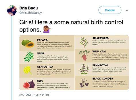 Birth Control Herbs, Natural Birth Control, Birth Control Options, Birth Control Methods, Christmas Lists, Papaya Seeds, Menstrual Health, Natural Healing Remedies, Herbs For Health