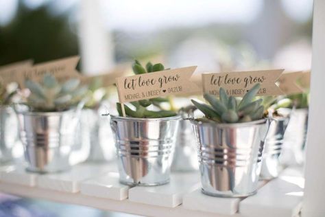 Bohemian Rustic Engagement Party Ideas | Photo 9 of 58 | Catch My Party Succulent Favors Diy, Rustic Engagement Party Ideas, Chic Engagement Party, Rustic Engagement Party, Engagement Party Ideas, Bridal Shower Sash, Marriage Reception, Anniversary Favors, Wedding Advice Cards