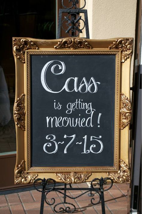 Crazy Cat Lady bridal shower chalkboard. "Cass is getting meowied!" Last Meow Before The Vow Bachelorette, Cat Bachelorette Party Ideas, Cat Themed Bridal Shower Ideas, Cat Wedding Decorations, Cat Themed Bachelorette, Cat Bridal Shower Theme, Getting Meowied, Bridal Shower Chalkboard, Shower Activities