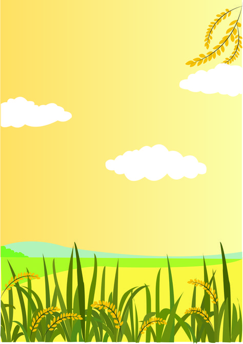 Paddy Field Illustration, Agriculture Poster Design Ideas, Farming Background, Field Illustration, Paddy Field, Cover Page Template, Field Wallpaper, Festival Background, Bday Girl