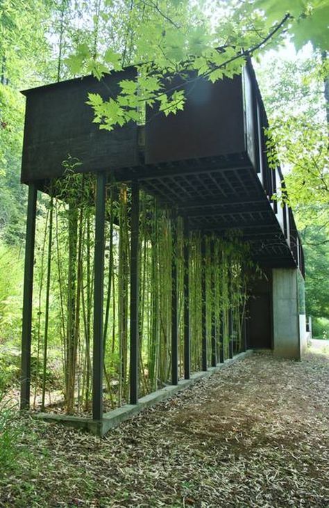 Treeless Treehouse, Treehouse Ladder, Bedroom Playhouse, Small Treehouse, Treehouse Design Architecture, Treehouse Architecture, Adult Treehouse, Indoor Treehouse, Diy Bridge