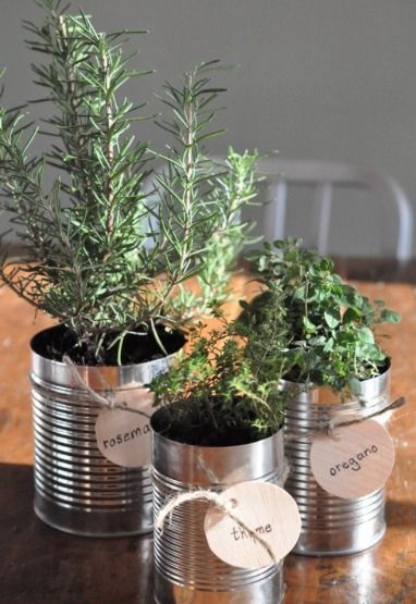 THK DIY Herb Garden6 Tin Can Planters, Can Planters, Garden Diy Decoration Ideas, نباتات منزلية, Herb Garden Design, Kitchen Herbs, Indoor Herb Garden, Tin Cans, Herbs Indoors