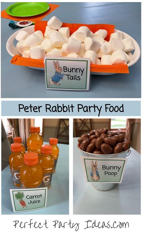 Rabbit Party Food, Peter Rabbit Party Food, Bunny Party Food, Rabbit Party Ideas, Peter Rabbit Theme Party, Peter Rabbit Birthday Party, Rabbit Birthday Party, Peter Rabbit Cake, Peter Rabbit Birthday