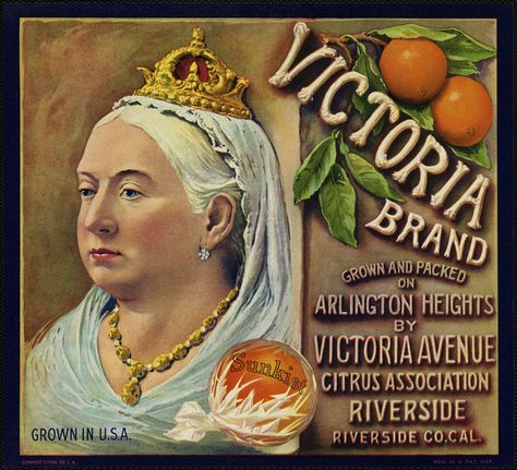 Victoria Brand: Grown and packed on Arlington Heights by Victoria Avenue Citrus Association, Riverside, Riverside Co. Cal. | Flickr : partag... Orange Crate Labels, Vintage Fruit Crate Label, Vegetable Crate Labels, Fruit Labels, Vegetable Crates, Fruit Crate Label, Vintage Crate, Fruit Orange, Etiquette Vintage