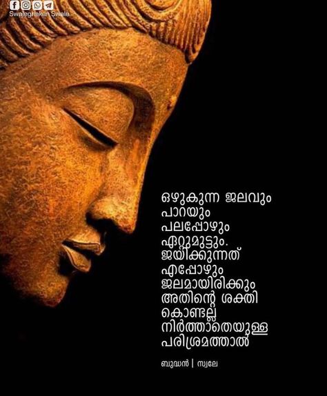 Sree Budha, Buddha's Quotes, Famous Book Quotes, Apj Quotes, Filmmaking Cinematography, Malayalam Quotes, Shiva Photos, Business Motivational Quotes, Positive Quotes For Life Motivation